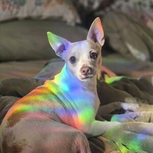 Meet your Posher, Kylee